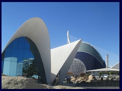 L'Oceanogràfic Oceanarium 134